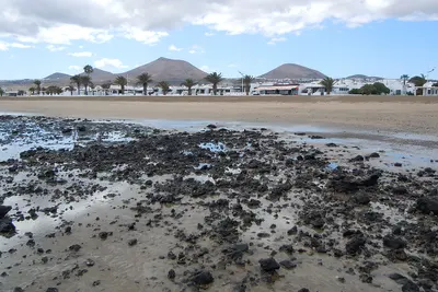 Playa Honda
